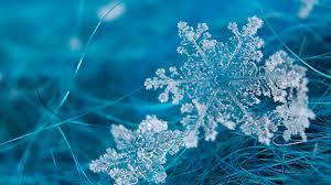 Any other artwork or logos are property and. Best 55 Snowflake Desktop Backgrounds On Hipwallpaper Beautiful Widescreen Desktop Wallpaper Desktop Wallpaper And Naruto Desktop Backgrounds