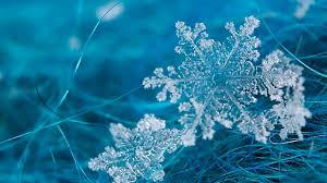 Here you can find the best winter snowflakes wallpapers uploaded by our community. Free Download Snowflake Desktop Wallpaper Wallpaper High Definition High Quality 1920x1080 For Your Desktop Mobile Tablet Explore 46 Winter Snowflakes Wallpaper Snow Pictures Wallpaper