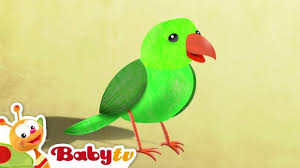 Bird Animal Party Babytv Animal Party Bird Animals