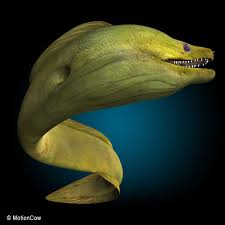 Realistic Green Moray Eel 3d Model In 2020 Beautiful Sea Creatures Ocean Creatures Water Animals