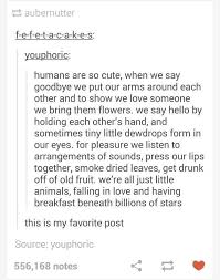 And Wwen We Realised That Humans Aren T So Different From All The Little Baby Animals After All Words Pretty Words Quotes