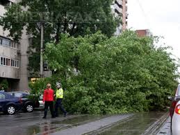 Administraţia naţională de meteorologie (anm) a emis, duminică, o atenţionare nowcasting cod galben de furtună pentru municipiul bucureşti, valabilă în ora următoare.potrivit meteorologilor, până la ora. FurtunÄƒ PuternicÄƒ In Bucuresti 18 Oameni RÄƒniÅ£i Si 26 De Masini Avariate 45 De LocalitÄƒÅ£i Din Ilfov Si Giurgiu FÄƒrÄƒ Curent Electric Foto