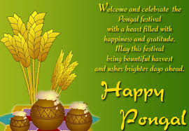 See more ideas about pongal greeting cards, happy pongal, pongal wishes in tamil. Pongal Greeting Cards Wallpapers 2020 Happy Pongal Wishes Images