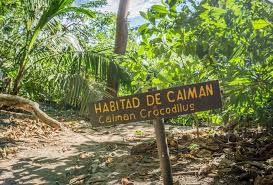 Seit mai 2006 hat alajuela mit lahr/schwarzwald eine deutsche partnerstadt. Costa Rica Sehenswurdigkeiten Was Du Nicht Verpassen Darfst