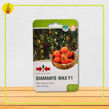 Add to wishlist ask a question. Tomato Seeds Diamante Max F1 Variety 200 Seeds Packet Eastwest By Cultivera Agri Shopee Philippines