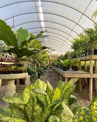 Hewitt Garden And Design Center Home Facebook