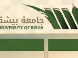 جامعة بيشة تمدد القبول على المقاعد الشاغرة. Pin On Saudi