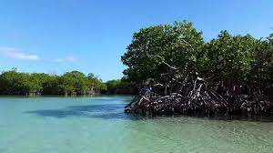 We did not find results for: Gilligans Island Guanica Puerto Rico Youtube
