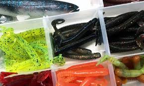 Widely considered the best bass lures, pros and cons, dropshotting, texas rigged, carolina rigged worms smallmouth bass: The Best Lures And Techniques For Bass Fishing In Summer Part Ii