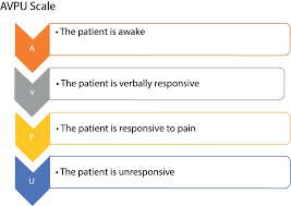 Image result for AVPU Scale