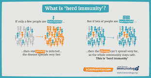 In stimulating the body's adaptive immunity, they help prevent sickness from an infectious disease. How Vaccines Work British Society For Immunology