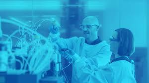 Let's Fly: What Drosophila Can Teach Us About Diabetes