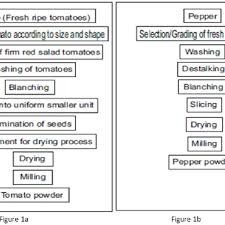 A B Flowchart For Processing Of Tomato Powder And Pepper