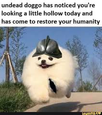 Undead Doggo Has Noticed You Re Looking A Little Hollow Today And Has Come To Restore Your Humanity Ifunny Dark Souls Funny Dark Souls Meme Undead