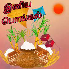 Pin On Happy Pongal Wishes
