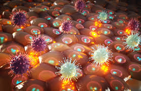 Scientists Pinpoint Protein that Helps Cancer-Causing Viruses Evade Immune  Response