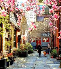 Brooklyn flower deliveries made on request. Loft Is All You Need Nyc Cobble Hill Brooklyn Brooklyn Heights