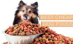 6)other tips to find the best budget dog food. 10 Best Cheap Dog Foods Jan 2021 Buyer S Guide