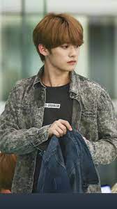 stray kids diary lee know stray kids lee min ho kids diary