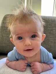 Sunshine Coast and Noosa's cutest summer babies