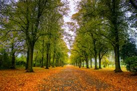 1000+ Nature Images Pictures | Download Free Images on Unsplash