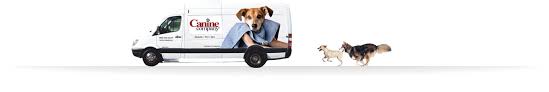 Unfortunately, you might not find any service provider who is able to meet your mobile nail trimming needs. Mobile Dog Grooming Mobile Dog Groomers