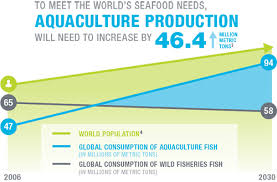 Why It Matters Global Aquaculture Alliance