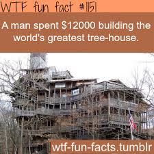 World Greatest Tree House More Of Wtf Fun Facts Tree House Cool Tree Houses Building A Treehouse