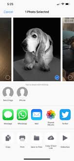 I just airdropped 125 photos from a full frame dslr camera from my phone to my mac and it took about 2 seconds. Saw This Airdrop Recipient Name In A Public Lobby And Had To Oblige Funny