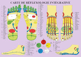Mar 21, 2021 · librivox about. La Reflexologie Bienfaits Et Avantages Pied De Poule