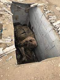 لا يحمد الذهب في المنام لأنه مكروه وقيل عن غم وهم، وإذا لبس الشخص شيئا من الذهب فهو يخالط قوم غير أكفاء. Ø¬Ù„Ø¯ Ø¯Ø¹Ù… Ø±Ø¨Ø§Ø¹ÙŠ Ø§Ù„Ø³Ø·ÙˆØ­ Ø±Ø¤ÙŠØ© Ø§Ù„Ù…ÙŠØª ÙŠØ±ØªØ¯ÙŠ Ù…Ù„Ø§Ø¨Ø³ Ø´Ø®Øµ Ø­ÙŠ Traveldirectoryforyou Com