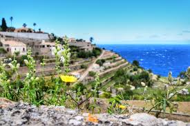 Check spelling or type a new query. 3 X Bezauberndes Mallorca Ausflug Nach Valldemossa Banyalbufar Port D Andratx Reiseblog Kreuzfahrtblog Fernwehblog Net Fernweh Pur