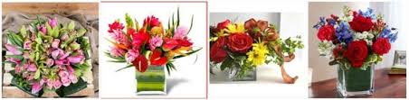 8.75 sell as set both for $140 cash and pick it up. The 14 Best Options For Flower Delivery In Fort Lauderdale Flower Delivery Reviews