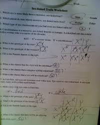 Sex Linked Traits Worksheet Answers Promotiontablecovers