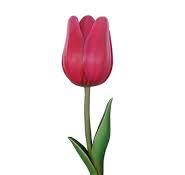 Tulip Flower Garden Statue Pink Tulip Garden Statue : Life ...