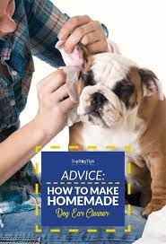 6 Recipes Of Homemade Dog Ear Cleaners Dog Ear Cleaner Homemade Dog Ear Cleaner Dog Ear Cleaner Diy