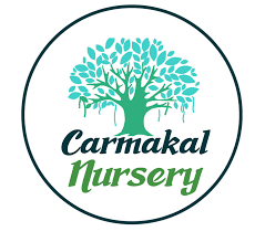 Here in central florida, for example, they're an absolute breeze to grow. Fruit Trees Wellington Fl Carmakal Nursery
