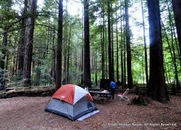 You can camp at a developed camping area, or you might decide you want to tuck camping and glamping are possible, but make sure to book your reservation for the developed campground well ahead of time. Camping Among California S Redwoods At Humboldt Redwoods State Park