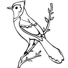 Bird Coloring Page For Kids Color Luna Bird Coloring Pages Coloring Pages Fly Drawing