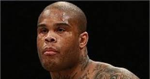 Гилберт Айвел (Gilbert Yvel) статистика, биография, фото, видео боев