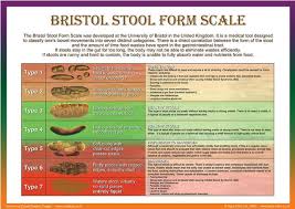 Bristol stool form scale pediatric general surgery. Bristol Stool Scale Stool Diary London Gastroenterology Centre