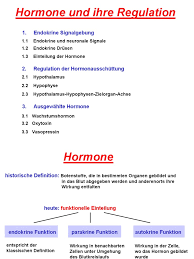 Hormonen U Drusen Pdf