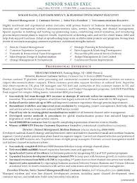 Resume Sample 16 Senior Sales Executive Resume Career Resumes