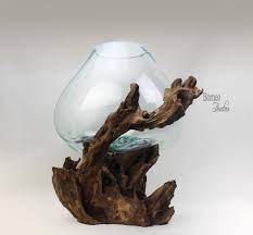Films en vf ou vostfr et bien sûr en hd. Hand Blown Molten Glass On Driftwood Base Sculpted Terrarium Vase Fish Bowl Indoor Planter Eco Tillandsia Aerium Unique Root 41x38x33cm Hand Blown Molten Glass Vase