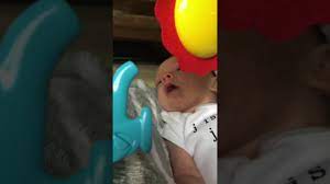 Check spelling or type a new query. Purple Monkey In A Bubble Gum Tree Youtube