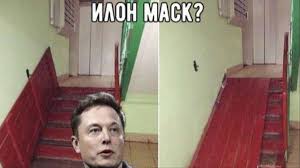 Elon reeve musk was born on june 28, 1971, in pretoria, south africa. These Russian Memes Taunt Elon Musk With Shitty Lifehacks