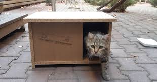Adore Mobilya Adli Kullanicinin Kedi Evleri Panosundaki Pin Kedi Evi Kedi Evler