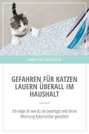 Lies hier, was du alles beachten solltest, wenn du eine katzen halten was du bei der katzenhaltung in der mietwohnung beachten musst. Gefahren Fur Katzen Lauern Uberall Im Haushalt Ich Zeige Dir Wie Du Sie Beseitigst Und Deine Wohnung Katzensicher Gestal Katzen Katzen Wohnungen Katzenhaltung