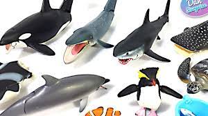 Learn Sea Animal Names With Takara Tomy Sea Animal Toys For Kids 20 Sea Animals Toys Collection Youtube