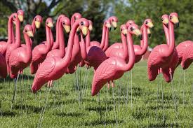 How The Plastic Pink Flamingo Became An Icon Jstor Daily Pink Flamingos Lawn Ornaments Plastic Pink Flamingos Flamingo